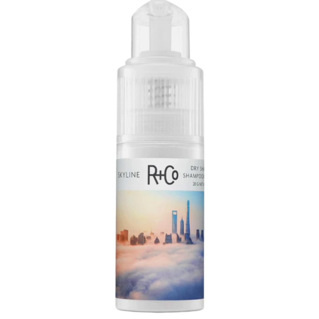 Pump bottle of SKYLINE Dry Shampoo Powder by R+Co with an image of a city skyline on the label.